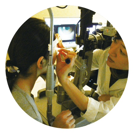 マイボーム腺観察